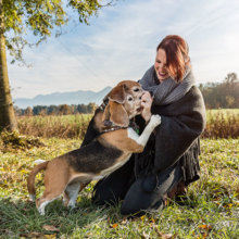 Hunde