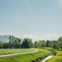 LEK Wahrnehmungsfahrt Ried April 2018_print (53)
