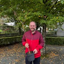 Schattenbaum_SimonVetter02