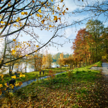 Der neugestaltete Naturpark Alter Rhein