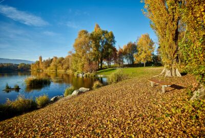 Alter Rhein Alter Rhein