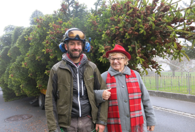 Christbaum 2018 (3) Christbaum 2018 (3)