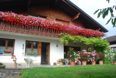 Blumenschmuckwettbewerb Blumenschmuckwettbewerb