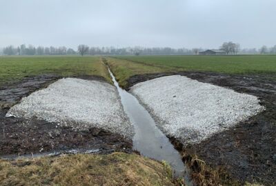 Schweizer Ried Grabenaufweitung 