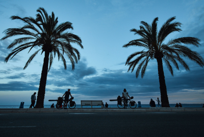 10_ICE-PALMSPhilipp-Becker 10_ICE-PALMSPhilipp-Becker