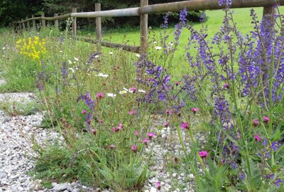 20210518_150131_resized