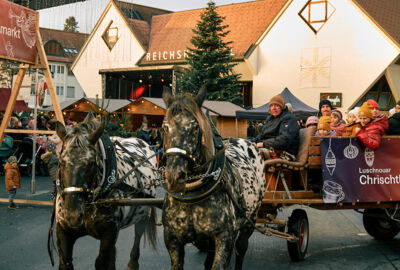 20241130_MIK_176610_HiRes (1)