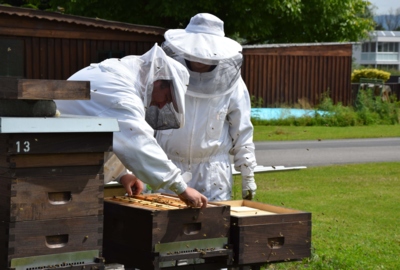 Imker des Bienenzuchtverein Lustenau