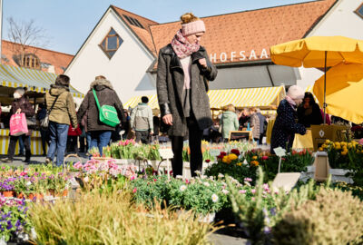 Kreativmarkt_2022@Miro Kuzmanovic56 klein
