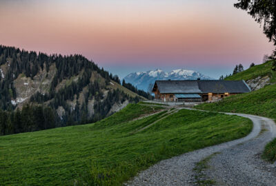 Schöner Mann_2022@Lukas Hämmerle4 Schöner Mann_2022@Lukas Hämmerle4