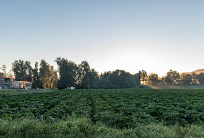 Hofkultur 2024 | Auftakt