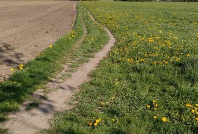 Birkenseeweg Birkenseeweg