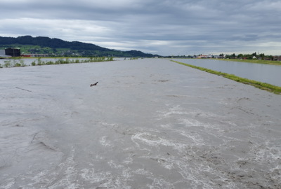 Rheinhochwasser Juni 2016