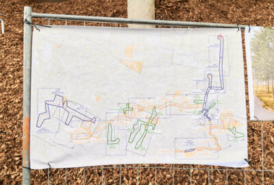 Foto3_20250708_MIK_220269_HiRes