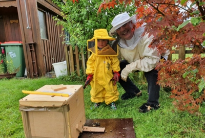 03 Bienen4_Martin Alfare 03 Bienen4_Martin Alfare