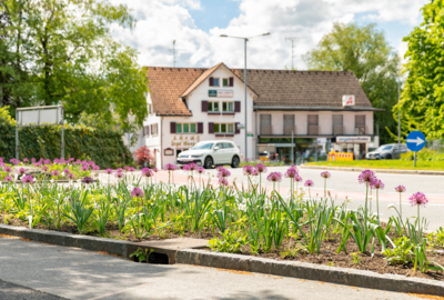 Lustenau blüht auf Engel