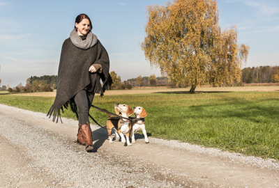 Wandern mit Hund_©Lukas Hämmerle