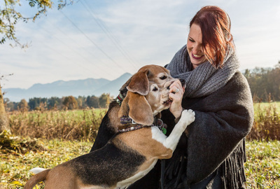 Hundehaltung