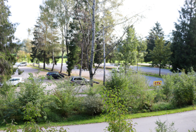 Parkplatz Alter Rhein Parkplatz Alter Rhein