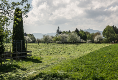 LEK Wahrnehmungsfahrt Ried April 2018_print (82)