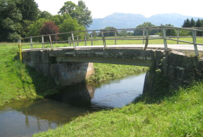 Neuner