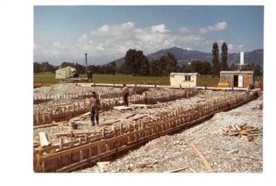 A1 Fundamente A1 Fundamente