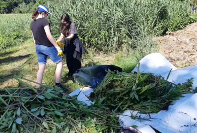 foto2_20220614_094232_hak_springkrautaktion