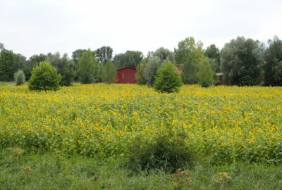 Gemeindegutshof_Heidensand