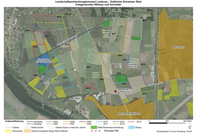 Oberes Schweizer Ried Lustenau