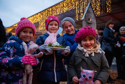 Weihnachtsmarkt_2015_15
