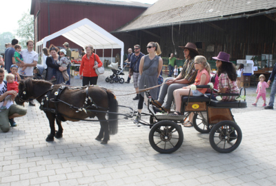 Freilandschau Gutshof Heidensand