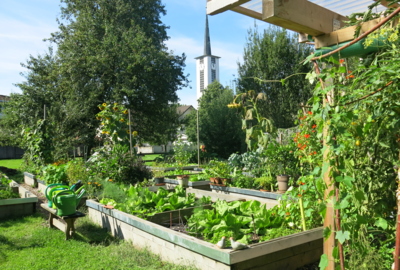 Permatop Garten, Pfarrweg Permatop Garten, Pfarrweg