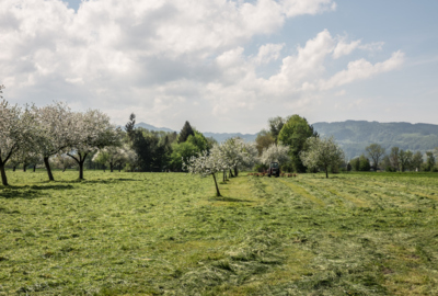 LEK Wahrnehmungsfahrt Ried April 2018_print (84)