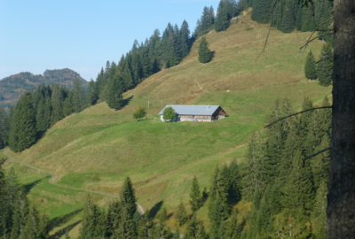 Foto Briedler - Wißa Stoa Weag 1 Foto Briedler - Wißa Stoa Weag 1