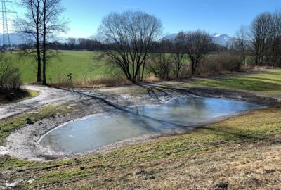 Obere Mähder Feuchtbiotop-Instandhaltungen 
