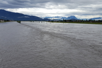 Rheinhochwasser Juni 2016 (26)