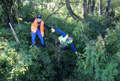Landschaftsreinigung Lustenau