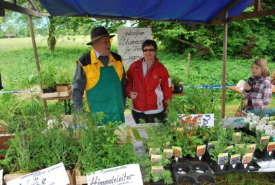 Bienenfest begeistert