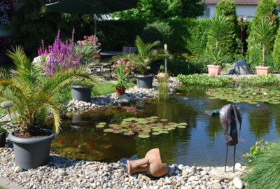 Blumenschmuckwettbewerb Blumenschmuckwettbewerb