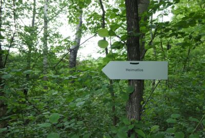 Heimatlos_Margit-Bartl-Frank