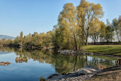 Alter Rhein 2015 Alter Rhein 2015