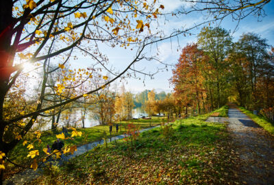 Der neugestaltete Naturpark Alter Rhein