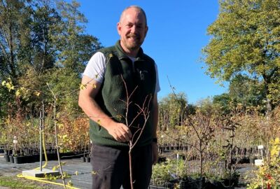 Gärtner Hannes Müller mit jungem Baum in Baumschule in Niederösterreich