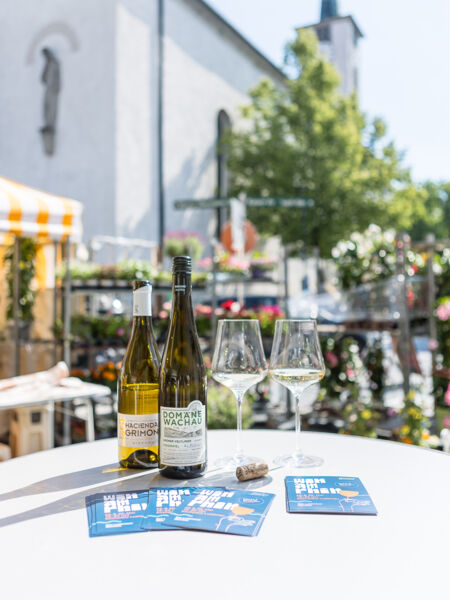 Foto1_Win_am_Rhin_Titelbild_BY_MIKE_SIBLIK_012