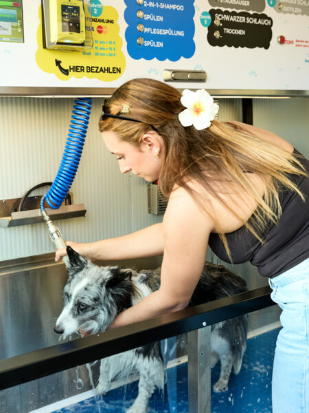 Foto1_Wash&Woof_2026@Miro Kuzmanovic14