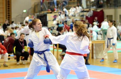 Karateclub Lions Cup 2