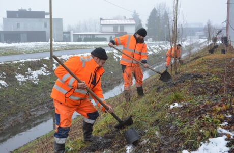 Grindekanal_Uferbepflanzung