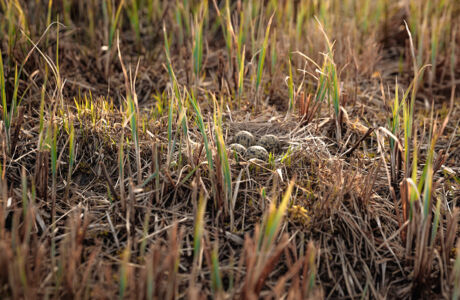 Foto5_MG_1280_(c)LukasHämmerle