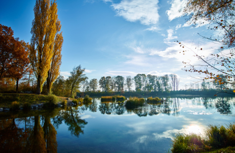 Alter_Rhein_10-2015_04 Marcel Hagen