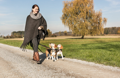 Wandern mit Hund_©Lukas Hämmerle Wandern mit Hund_©Lukas Hämmerle